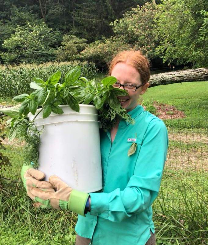 A woman with red hair and glasses stands in a garden, holding a large white bucket full of basil, which partly obscures her face